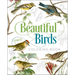 Beautiful Birds Coloring Book