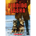 Finding Zasha