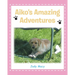 Aiko's Amazing Adventures