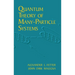 Quantum Theory of Many-Particle Systems