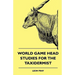 World Game Head Studies for the Taxidermist