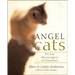 Angel Cats: Divine Messengers of Comfort