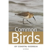 Common Birds of Coastal Georgia
