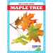 Maple Tree