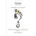 Spiritual intelligence in a multicultural context: : Theory and Assessment