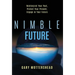 Nimble Future: Reinterpret Your Past, Protect Your Present, Engage In Your Future