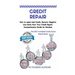 Credit Repair: How to repair bad Credit, Remove Negative Line Items from Your Credit Report, Comprehensive Guide for Newbies, The 201