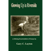 Growing Up in Riverside: a LIfelong Accumulation of Essays