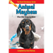 Animal Mayhem: When Wild Things Go Wilder