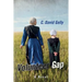 Volunteer Gap