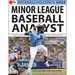 2024 Minor League Analyst