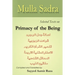 Primacy of the Being