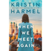 When We Meet Again