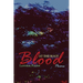 Blood at the Root