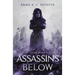 Assassins Below: Tales From Haven City