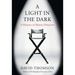 A Light in the Dark: A History of Movie Directors
