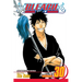 Bleach, Vol. 30