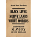 Black Lives, Native Lands, White Worlds: A History of Slavery in New England