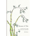 Because of This: Lao Tzu's Tao Te Ching: How to Live, Love, and Lead