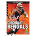 The Story of the Cincinnati Bengals