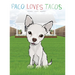 Paco Loves Tacos