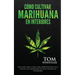 Cómo cultivar marihuana en interiores: Una guía paso a paso para principiantes en el cultivo de marihuana de alta calidad en interiores (Spanish Editi