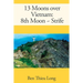 13 Moons over Vietnam: 8th Moon Strife