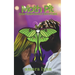 Moth Pit