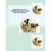 Jersey Cattle: Their Feeding and Management