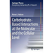 Carbohydrate-Based Interactions at the Molecular and the Cellular Level