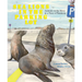 Sea Lions in the Parking Lot: Animals on the Move in a Time of Pandemic