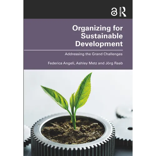 Organizing for Sustainable Development: Addressing the Grand Challenges