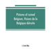 Pictures of ruined Belgium, Visions de la Belgique détruite