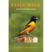 Still Wild: Poems from the Bear Shack