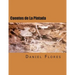 Cuentos de La Pintada: Stories of a Guadalupe County Village