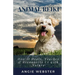 Animal Reiki: How it Heals, Teaches & Reconnects Us with Nature