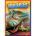 Iguanas