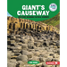 Giant's Causeway and Other Incredible Natural Wonders