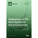 Adaptation of the Root System to the Environment