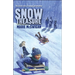 Snow Treasure