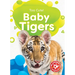 Baby Tigers