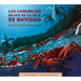 Los Cangrejos Rojos de la Isla de Navidad: Una Historia de Migración: Spanish Edition