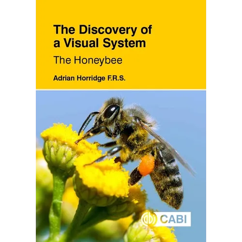 The Discovery of a Visual System: The Honeybee