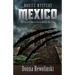 Novice Mystery - Mexico: The Second Dan and Karen Novice Mystery