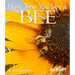 Next Time You See a Bee