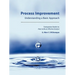 Process Improvement: Understanding a Basic Approach - Companion Guidebook to How to Be an Effective Analyst
