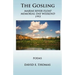 The Gosling: Marias River Float Memorial Day Weekend 1993