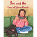 Zoe and the land of storm clouds