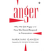 Anger: Why We Get Angry and How We Should Respond to Provocation