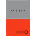 Biblia Para Grupos Pequeños - Nbv Lujo